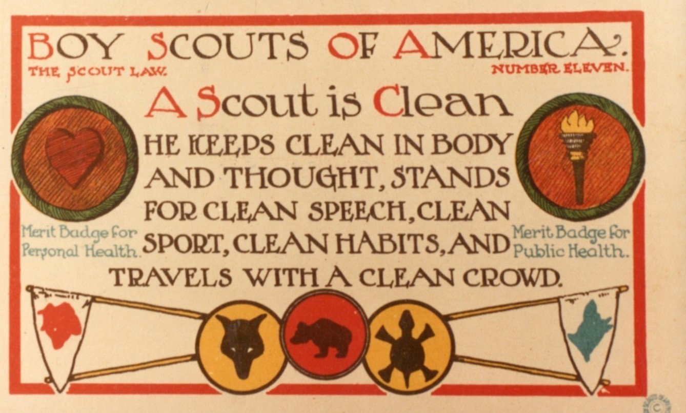 Boy Scout Of America Postcard 11