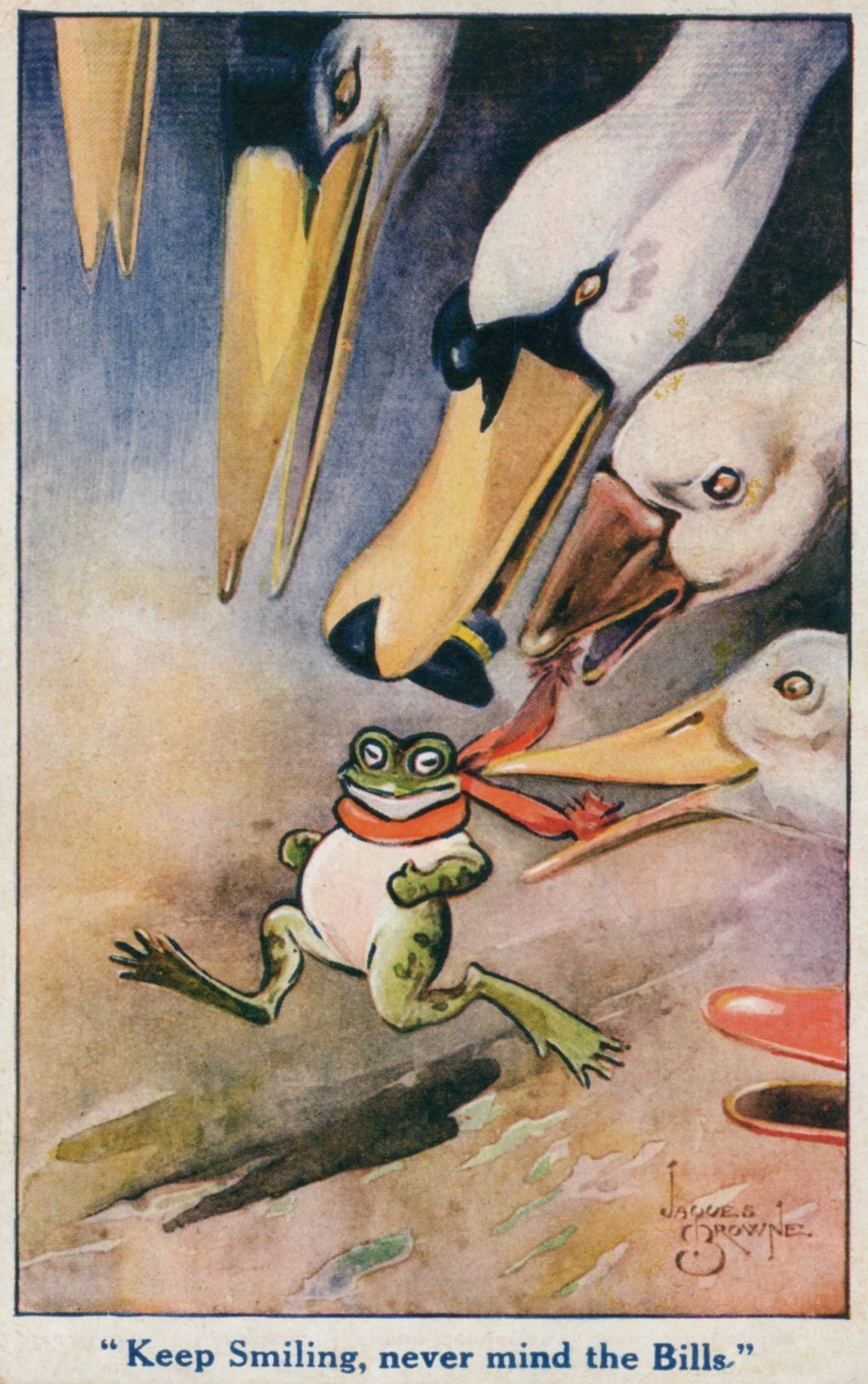 Frogs Postcard 1