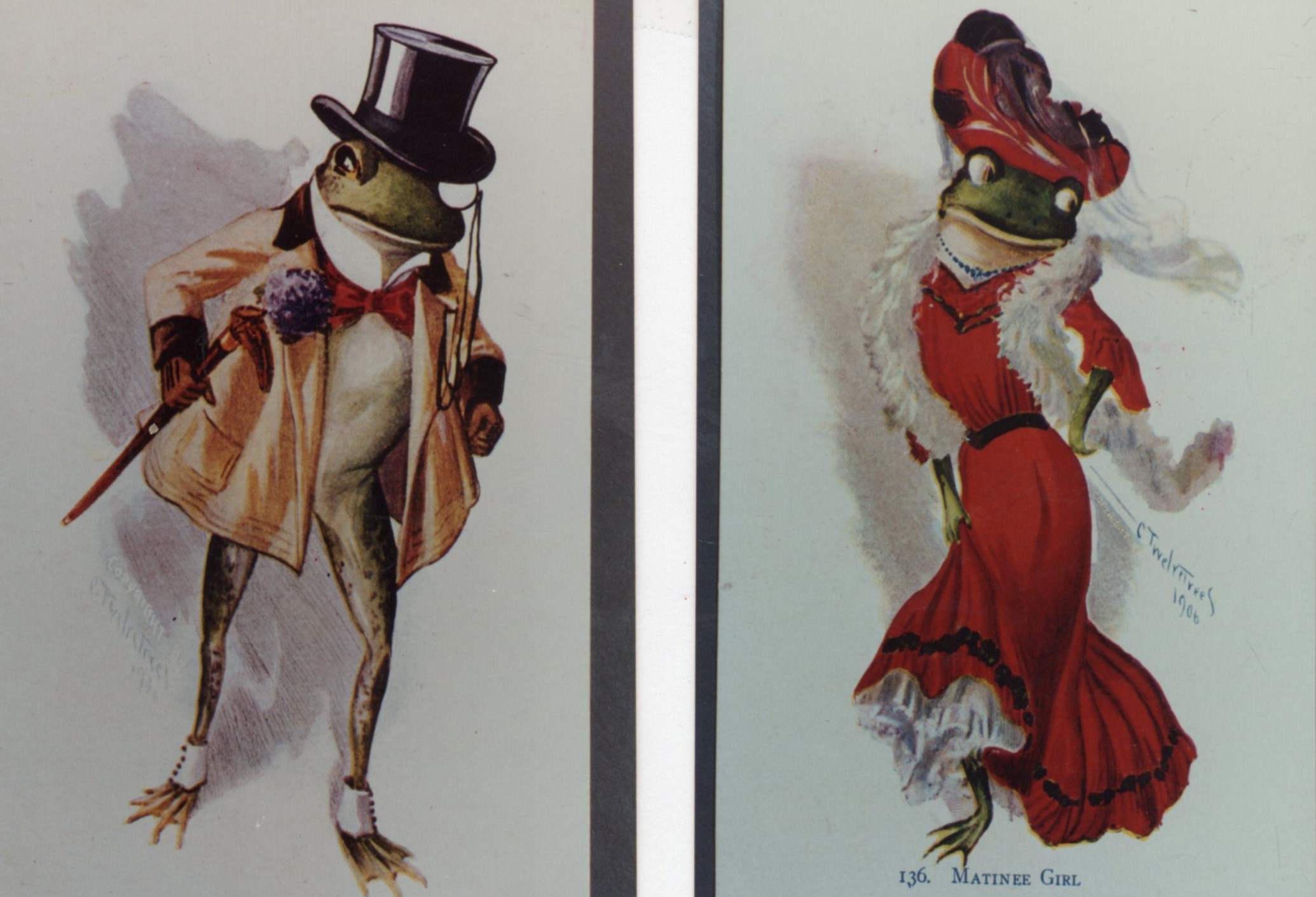 Frogs Postcard 3