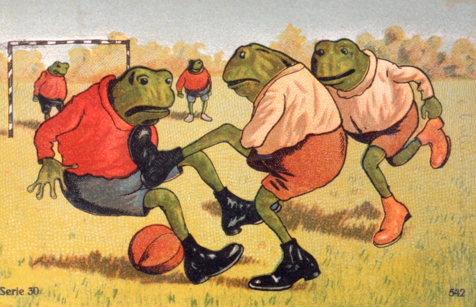 Frogs Postcard 8