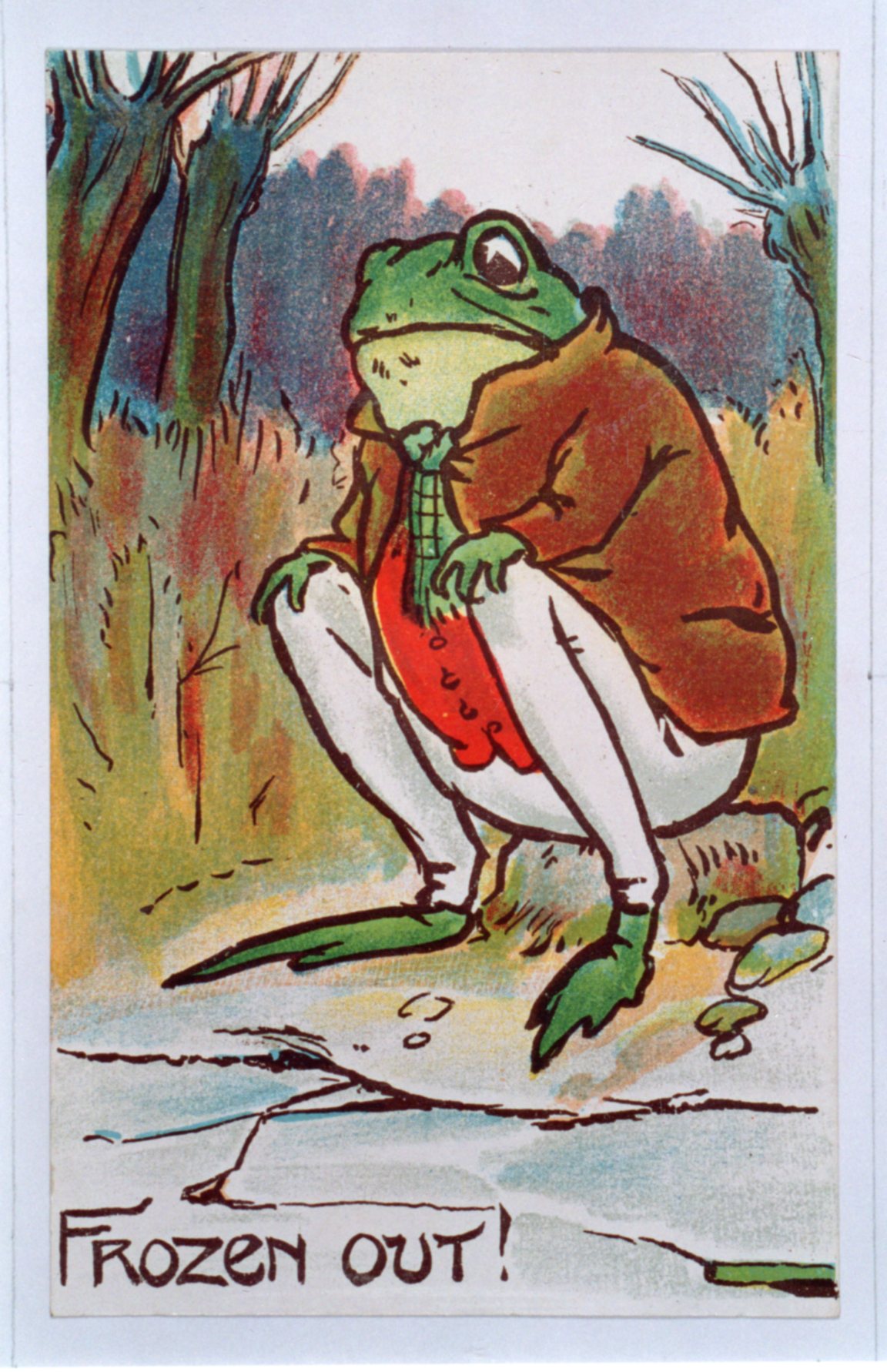 Frogs Postcard 12