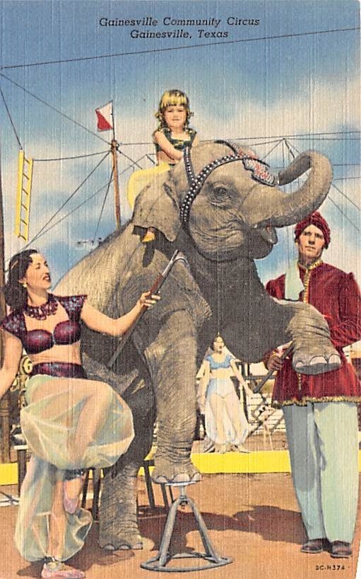 Larry am at the circus. Цирк старинные открытки. Открытки цирк 1979. Слон в цирке. Девочка и слон цирк.