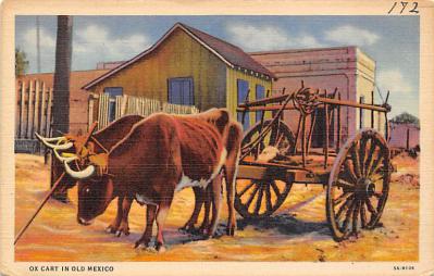 sub063053 - Stagecoach Post Card