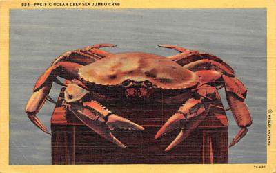 sub063625 - Lobsters Post Card