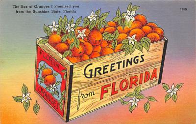 sub064427 - Orange Groves Post Card