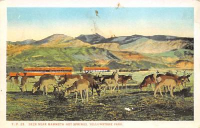sub065195 - National Park Post Card