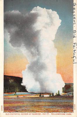 sub065353 - Yellowstone National Park Post Card
