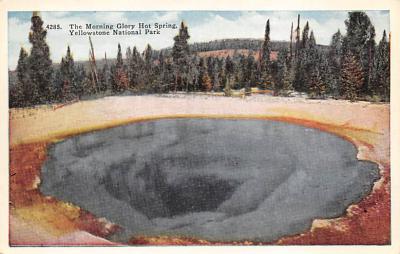 sub065425 - Yellowstone National Park Post Card