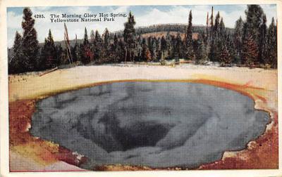 sub065427 - Yellowstone National Park Post Card