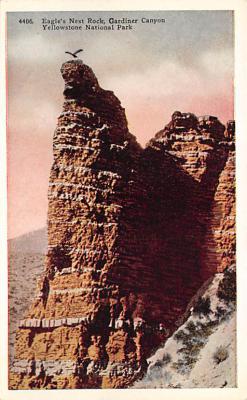 sub065429 - Yellowstone National Park Post Card