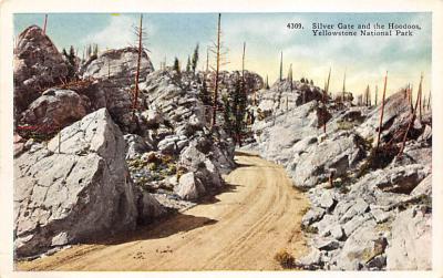sub065435 - Yellowstone National Park Post Card