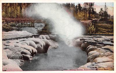 sub065449 - Yellowstone National Park Post Card