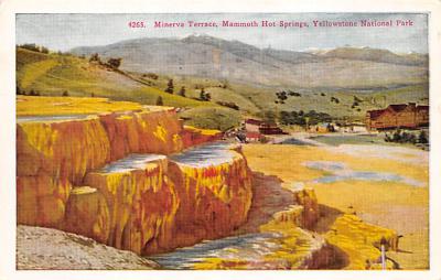 sub065471 - Yellowstone National Park Post Card