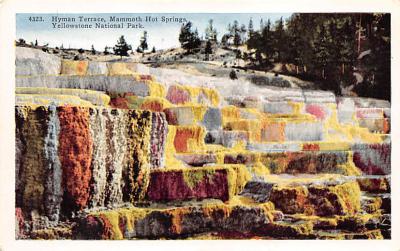 sub065483 - Yellowstone National Park Post Card