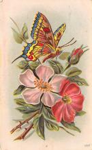 sub054235 - Butterflies Post Card