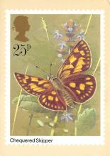 sub054239 - Butterflies Post Card