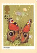 sub054241 - Butterflies Post Card