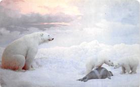 sub063227 - Polar Bear Post Card