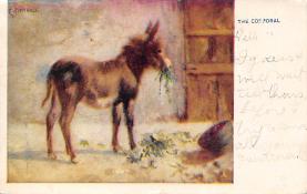 sub063317  Donkey Post Card