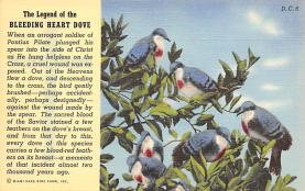 sub063403 - Birds Post Card