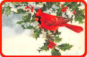 sub063439 - Birds Post Card