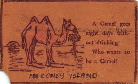sub063467 - Camel Post Card