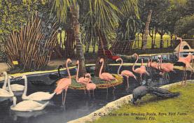 sub063561 - Flamingo Post Card