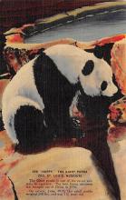 sub063713 - Panda Bear Post Card