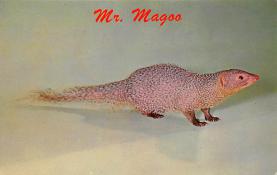 sub063927 - Mongoose Post Card