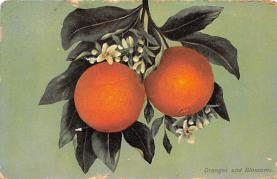 sub064285 - Orange Groves Post Card