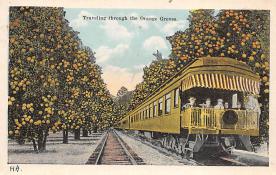 sub064305 - Orange Groves Post Card