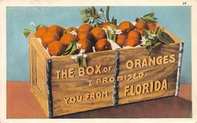 sub064321 - Orange Groves Post Card