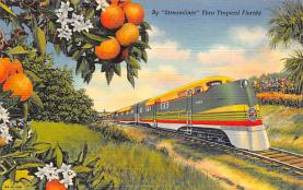 sub064377 - Orange Groves Post Card