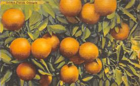 sub064423 - Orange Groves Post Card