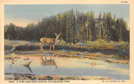 sub065127 - National Park Post Card