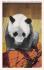 sub063709 - Panda Bear Post Card