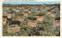 sub064197 - Orange Groves Post Card