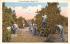 sub064317 - Orange Groves Post Card