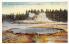 sub065477 - Yellowstone National Park Post Card