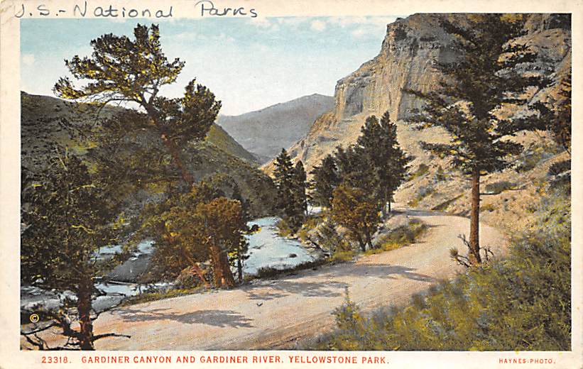 sub065333 - Yellowstone National Park Post Card