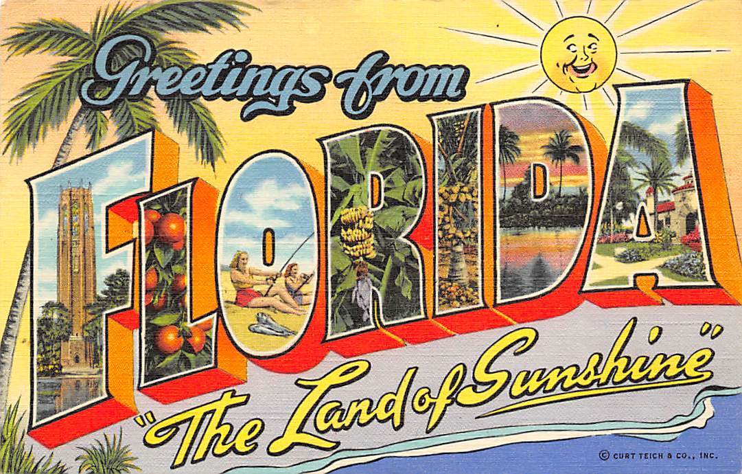 Florida FL Postcards