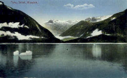 Taku Inlet - Alaska AK Postcard