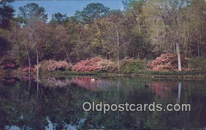 Mirror Lake, Bellingrath Gardens - Mobile, Alabama AL Postcard