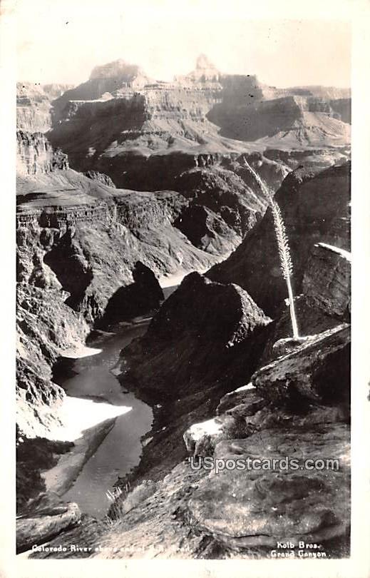 Colorado River - Grand Canyon, Arizona AZ Postcard