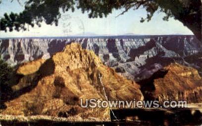North Rim - Grand Canyon, Arizona AZ Postcard