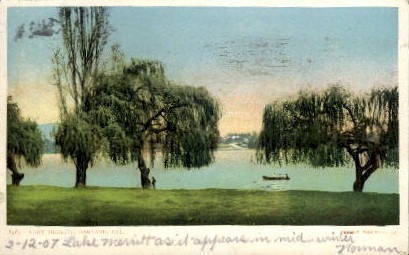 Lake Merritt - Oakland, California CA Postcard