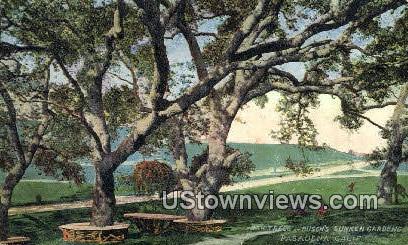 Busch's Sunken Gardens - Pasadena, California CA Postcard
