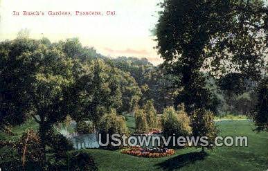 Busch's Gardens' - Pasadena, California CA Postcard
