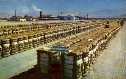 Bales of Cotton - San Joaquin Valley, California CA Postcard