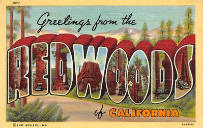 Redwood CA